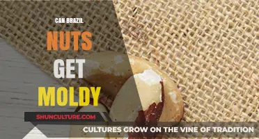 Can Brazil Nuts Get Moldy? Storage Tips and Shelf Life Explained