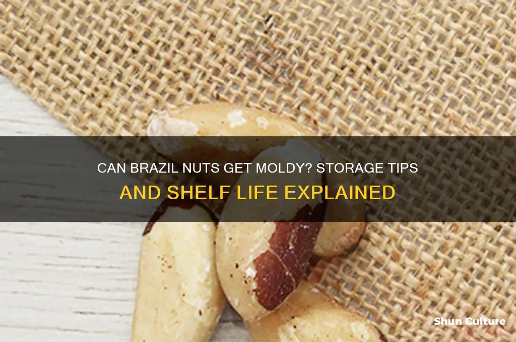 can brazil nuts get moldy