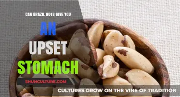 Can Brazil Nuts Cause Stomach Discomfort? Exploring Digestive Reactions