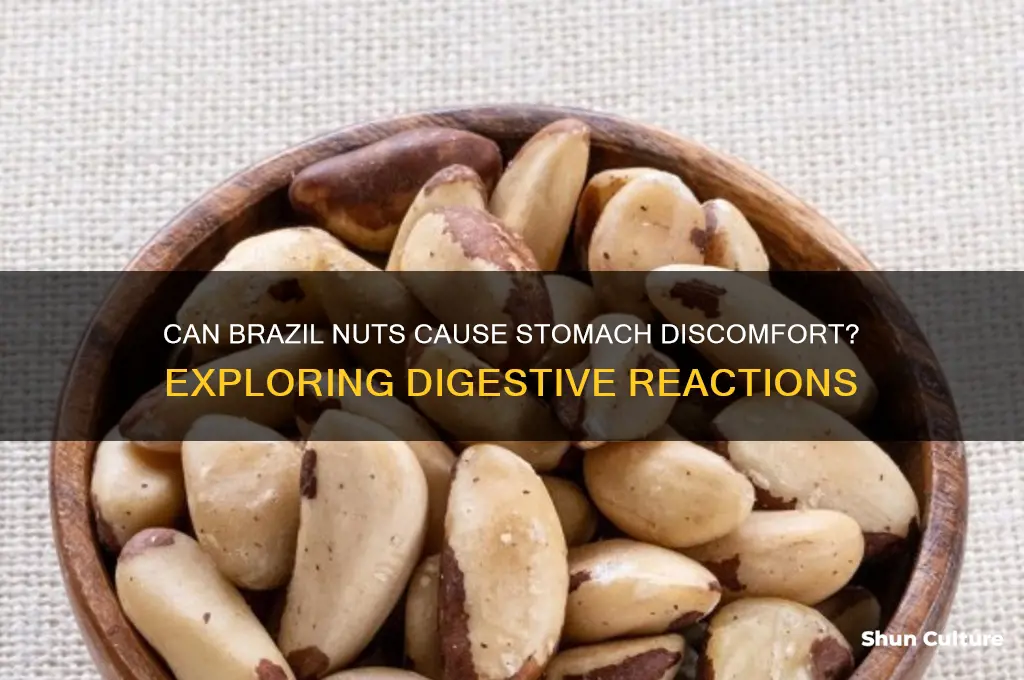 can brazil nuts give you an upset stomach