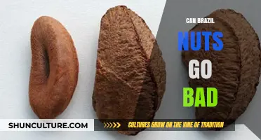 Do Brazil Nuts Expire? Shelf Life and Storage Tips Revealed