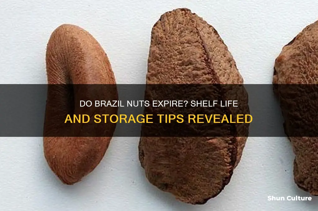 can brazil nuts go bad