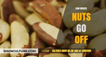 Do Brazil Nuts Expire? Shelf Life and Storage Tips Revealed