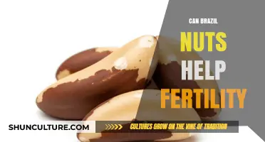 Boosting Fertility Naturally: The Surprising Benefits of Brazil Nuts