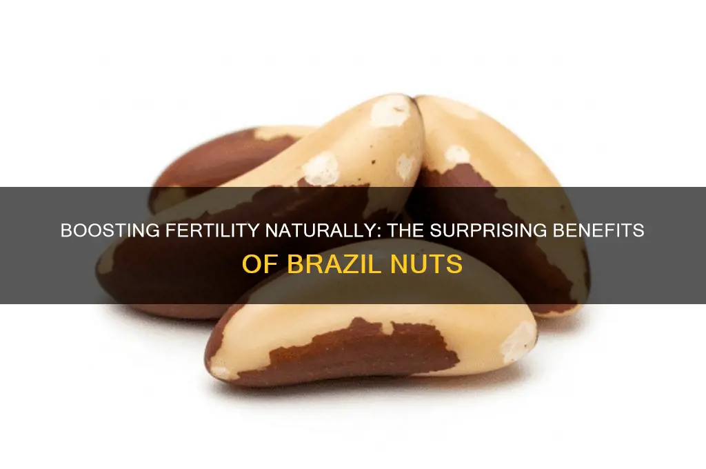 can brazil nuts help fertility