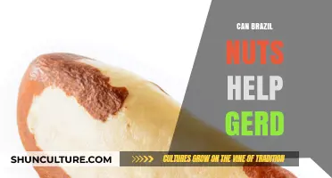 Brazil Nuts and GERD: Natural Relief or Myth?