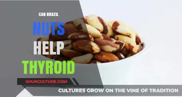 Brazil Nuts and Thyroid Health: Unlocking Selenium's Benefits