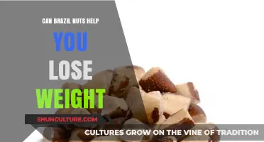 Brazil Nuts for Weight Loss: Fact or Fiction?