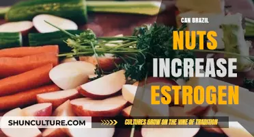 Can Brazil Nuts Boost Estrogen Levels? Uncovering the Nutritional Truth