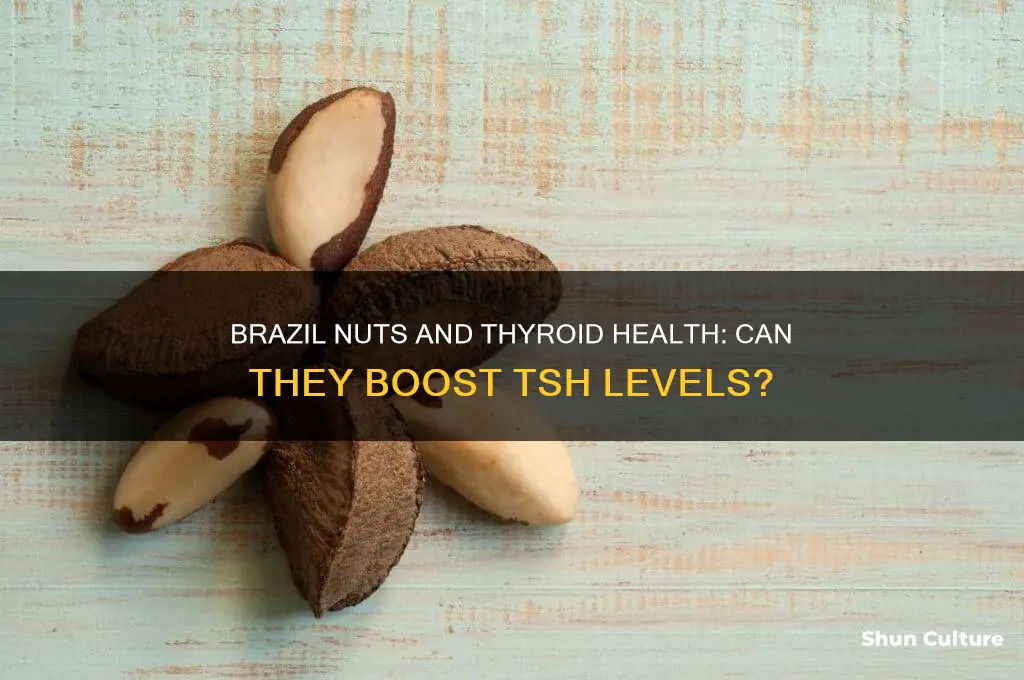 can brazil nuts increase tsh levels