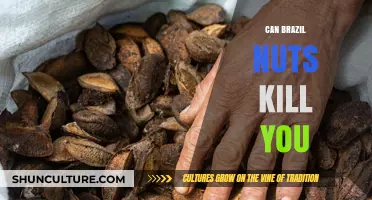 Brazil Nuts: A Tasty Treat or a Hidden Health Hazard?