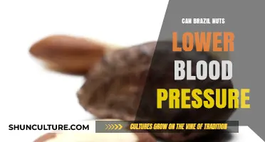 Brazil Nuts and Blood Pressure: Unlocking Nature's Hypertension-Fighting Potential