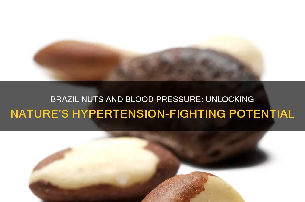 can brazil nuts lower blood pressure