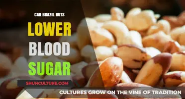 Brazil Nuts and Blood Sugar: Unlocking Natural Glucose Control Benefits