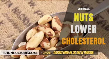 Brazil Nuts and Cholesterol: Unlocking Heart Health Benefits Naturally