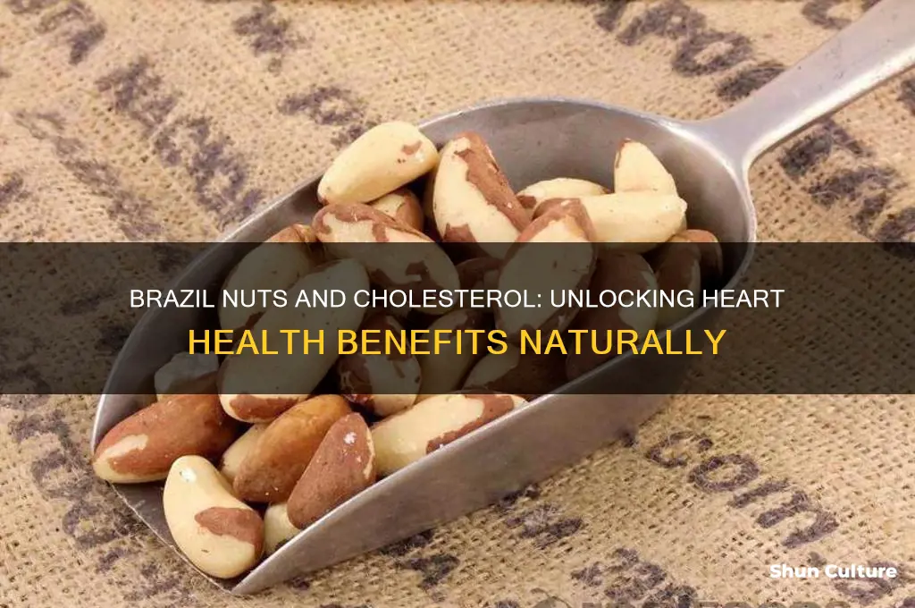 can brazil nuts lower cholesterol