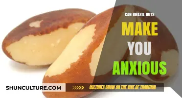 Brazil Nuts and Anxiety: Uncovering the Surprising Connection