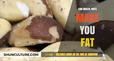 Brazil Nuts and Weight Gain: Fact or Fiction?