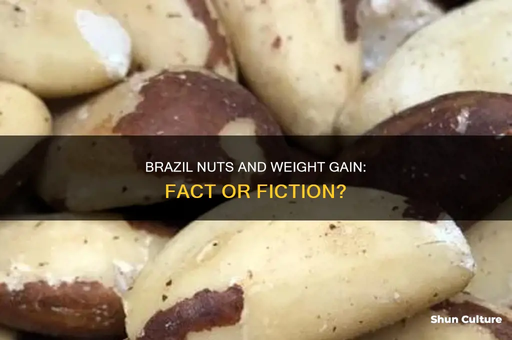 can brazil nuts make you fat