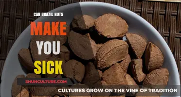 Can Brazil Nuts Cause Illness? Understanding Potential Health Risks