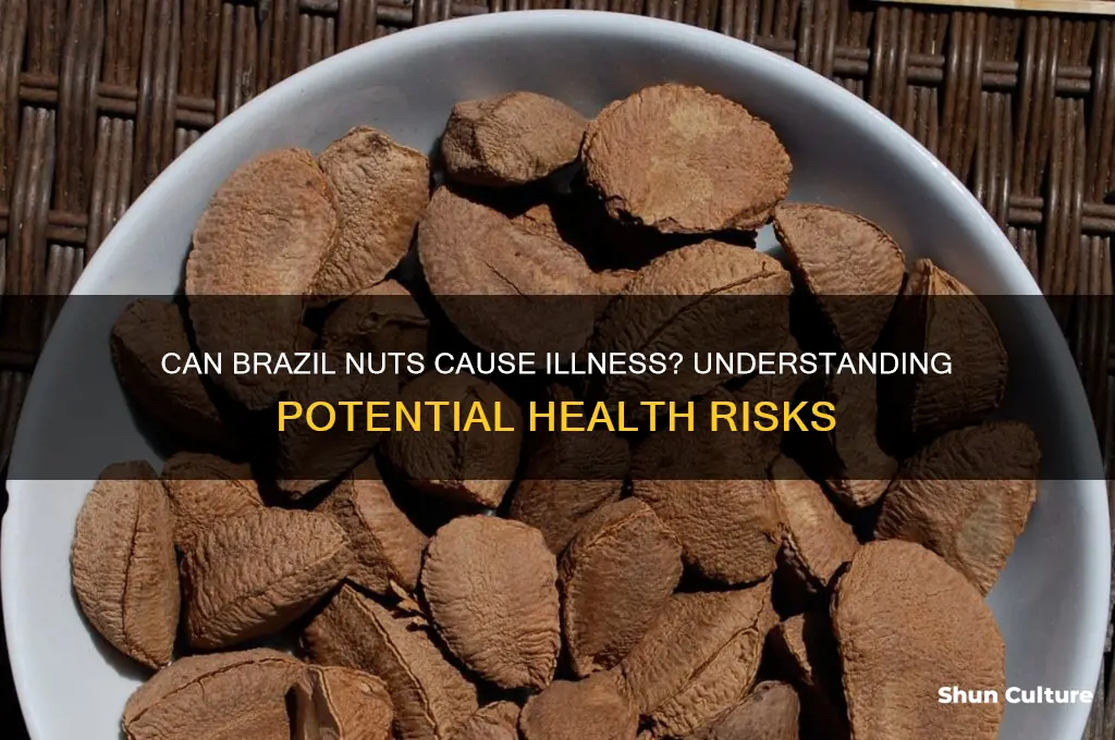 can brazil nuts make you sick