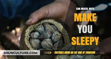 Brazil Nuts and Sleep: Uncovering the Link to Better Rest