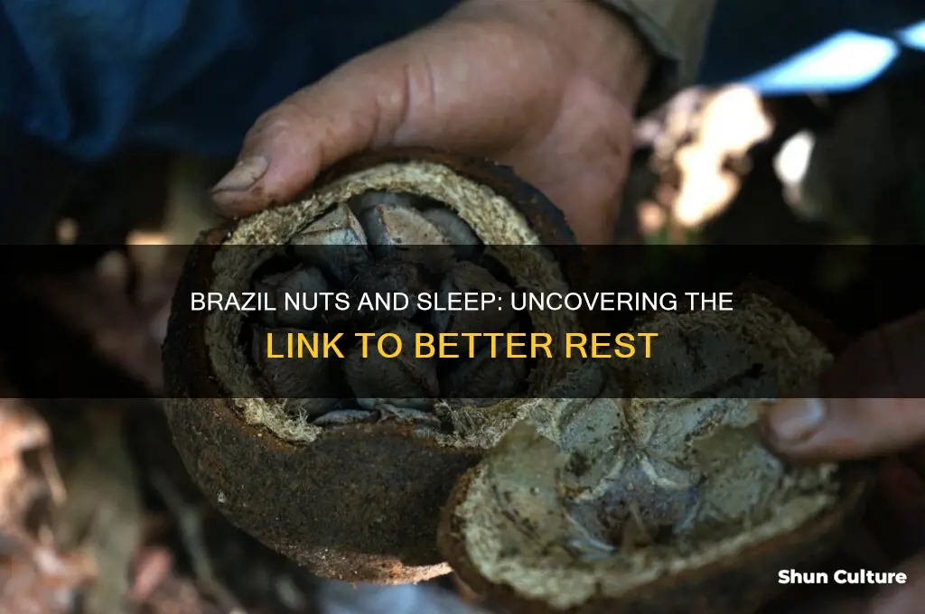 can brazil nuts make you sleepy
