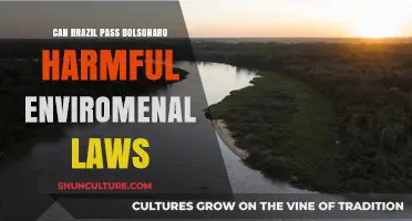 Can Brazil Overcome Bolsonaro's Legacy of Harmful Environmental Policies?