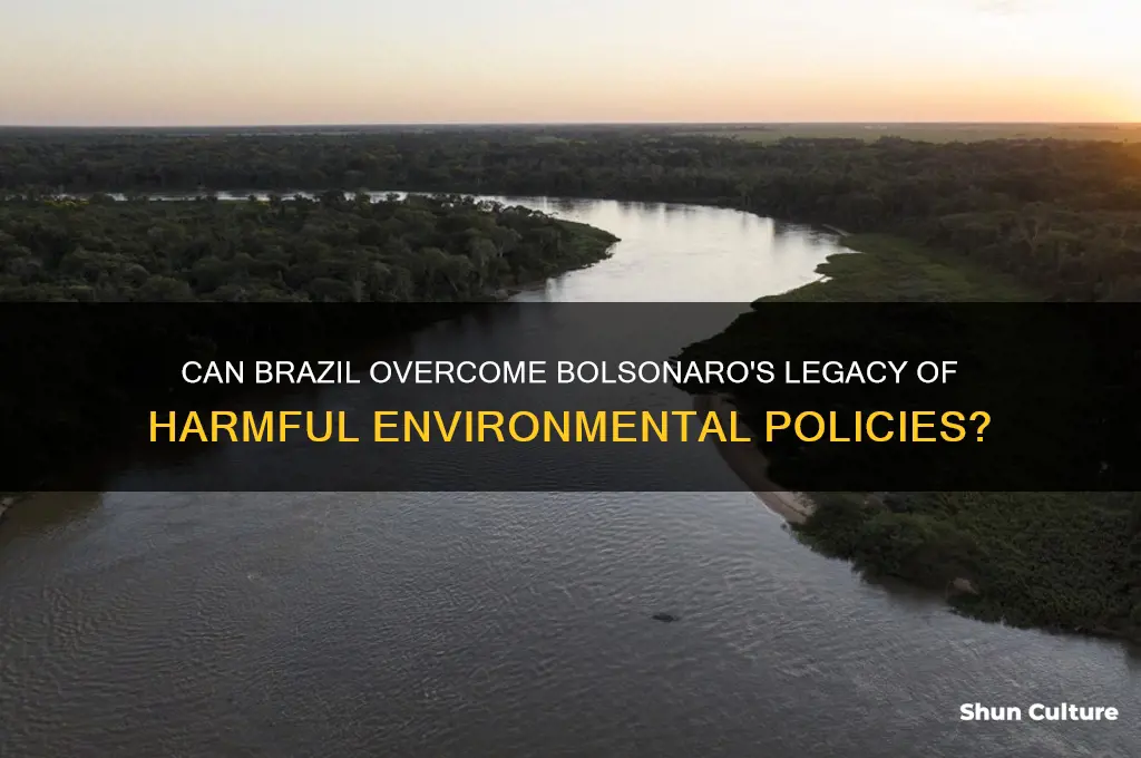 can brazil pass bolsonaro harmful enviromenal laws