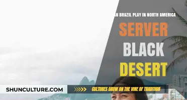 Can Brazil Players Join North America Server in Black Desert?