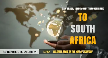 How to Transfer Money from Brazil to South Africa via Bank
