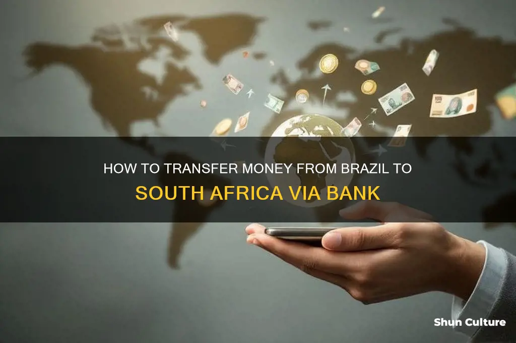 can brazil send money through bank to south africa