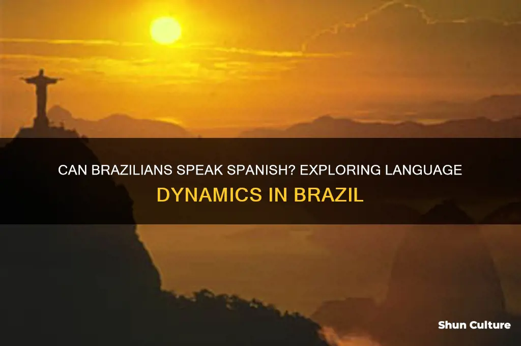 can brazil speak spanish