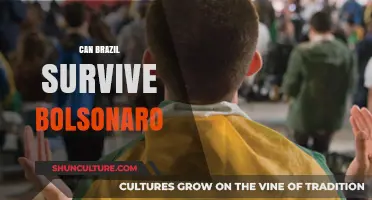 Brazil's Future at Stake: Surviving Bolsonaro's Legacy and Challenges