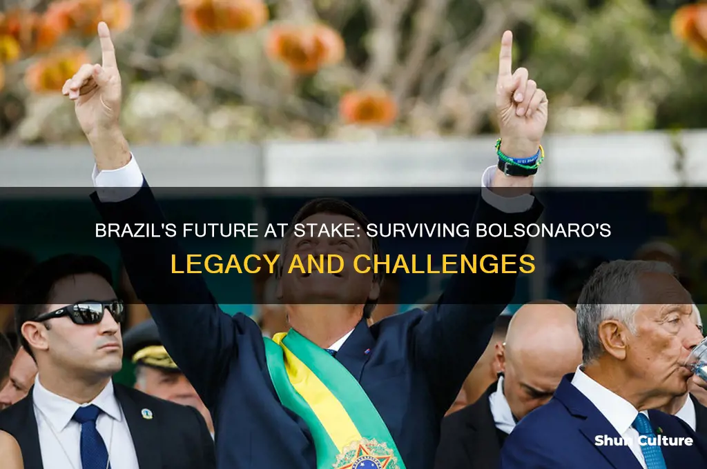 can brazil survive bolsonaro
