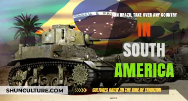 Brazil's Military Might: Could It Dominate South American Nations?