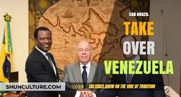 Brazil's Potential Role in Venezuela's Future: A Geopolitical Analysis