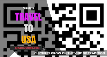 Can Brazilians Travel to the USA? Visa Requirements Explained