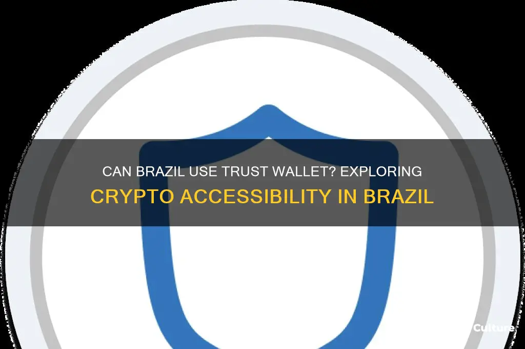can brazil use trust wallet
