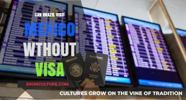 Can Brazilians Visit Mexico Without a Visa? Travel Requirements Explained