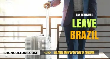 Can Brazilians Leave Brazil? Exploring Travel and Emigration Options