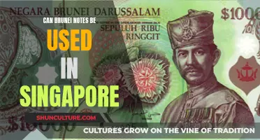 Using Brunei Notes in Singapore: Is It Possible?