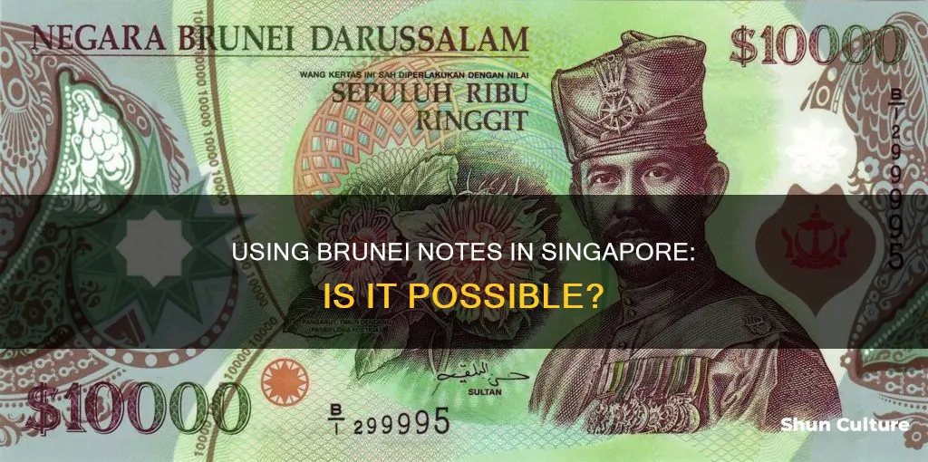 can brunei notes be used in singapore