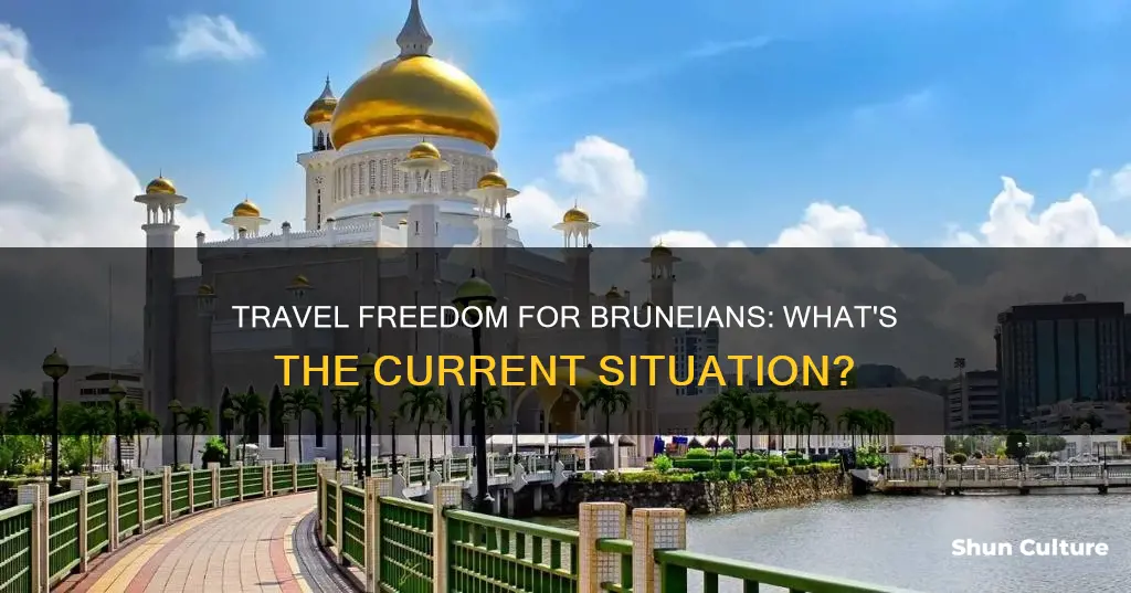 can bruneian travel now