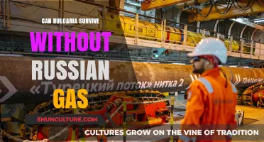 Bulgaria's Energy Dilemma: Navigating Independence from Russian Gas