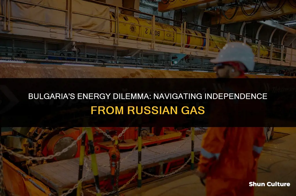can bulgaria survive without russian gas