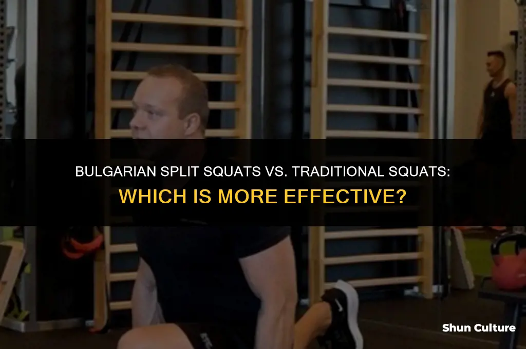 can bulgarian split squats replace squats