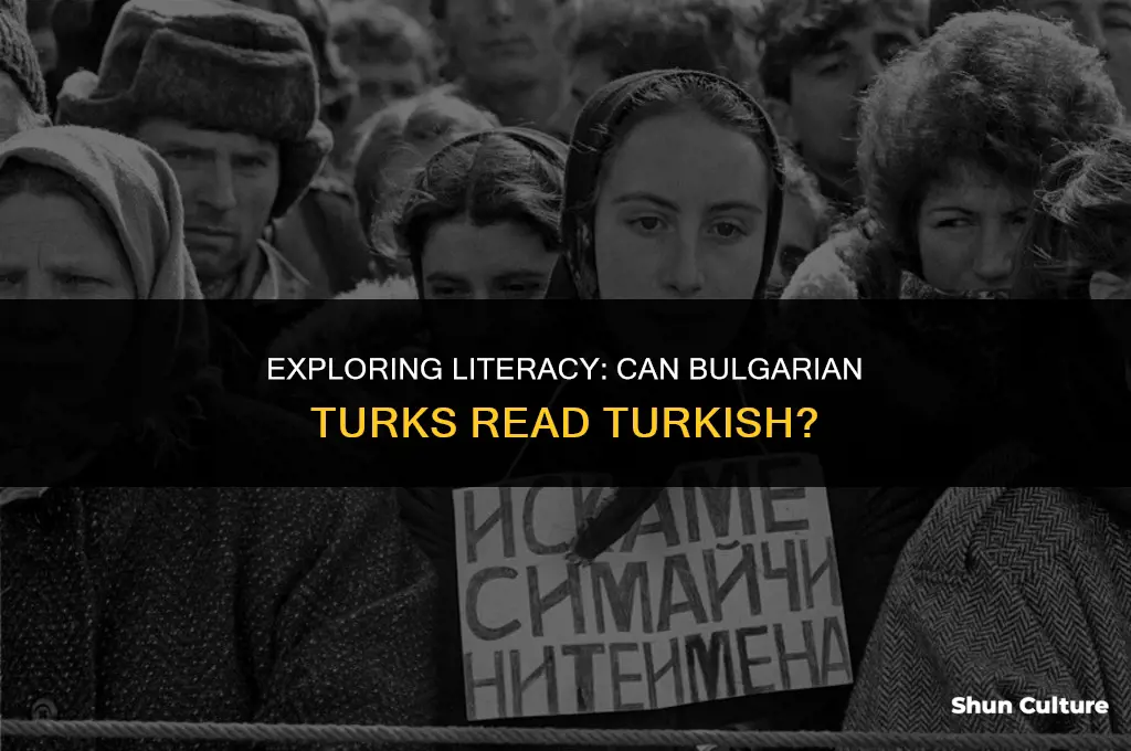 can bulgarian turks read turkish