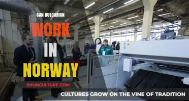 Exploring Employment Opportunities: Can Bulgarians Work in Norway?