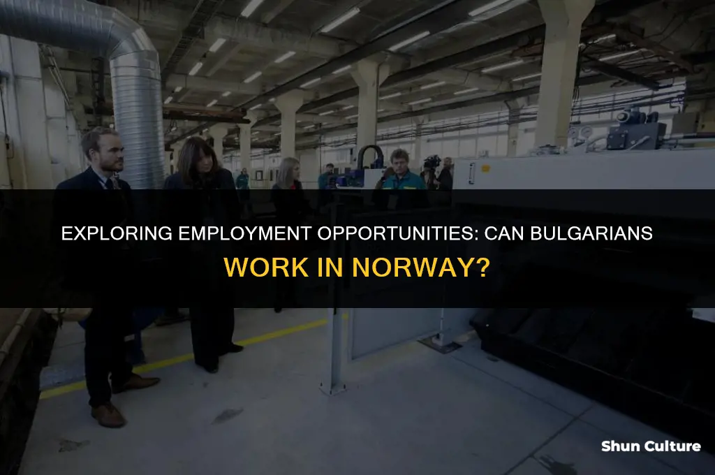 can bulgarian work in norway